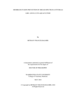 Membrane fusion prevention by broad-spectrum antivirals LJ001 and JL122 in aquaculture