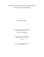 UNDERSTANDING THE ROLE OF AUXIN AND ITS TRANSPORT IN CONTROLLING WHEAT DEVELOPMENT