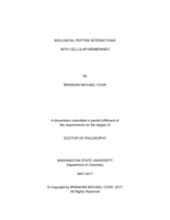 BIOLOGICAL PEPTIDE INTERACTIONS  WITH CELLULAR MEMBRANES