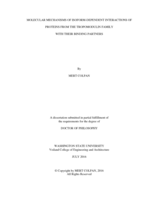 MOLECULAR MECHANISMS OF ISOFORM-DEPENDENT INTERACTIONS OF PROTEINS FROM THE TROPOMODULIN FAMILY  WITH THEIR BINDING PARTNERS