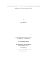 COMPARATIVE BIOLOGY OF POTATO PSYLLID, BACTERICERA COCKERELLI (HEMIPTERA: TRIOZIDAE) HAPLOTYPES
