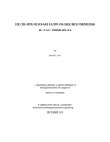 ELUCIDATING GENES AND PATHWAYS REQUIRED FOR MEIOSIS IN YEAST AND MAMMALS