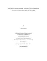 FUNCTIONAL AND PHYLOGENETIC ANALYSIS OF THE AT-HOOK MOTIF NUCLEAR LOCALIZED GENE FAMILY IN LAND PLANTS