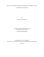 Role of the N-terminal region of troponin T in cardiac muscle contractile activation