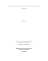 A MULTIPLE-PROCESS MODEL FOR STUDYING POWER AND RISK TAKING CONNECTION