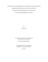 IDENTIFICATION AND INHERITANCE OF RESISTANCE TO IMIDAZOLINONE HERBICIDES THROUGH INDUCED MUTAGENESIS AND INTERACTIONS BETWEEN RHIZOCTONIA ROOT ROT AND SELECTED HERBICIDES IN BARLEY