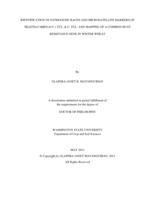 IDENTIFICATION OF PATHOGENIC RACES AND MICROSATELLITE MARKERS OF TILLETIA CARIES (D.C.) TUL. & C. TUL. AND MAPPING OF A COMMON BUNT RESISTANCE GENE IN WINTER WHEAT