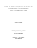 MOLECULAR AND CELLULAR CONSEQUENCES OF DISEASE ASSOCIATED PROCESSING DEFECTS IN CONE PHOTORECEPTOR CYCLIC NUCLEOTIDE-GATED CHANNELS