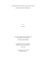 Investigation of the structure and function of sieve element components