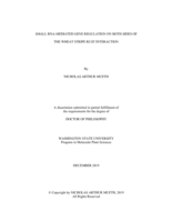 Small RNA-mediated gene regulation on both sides of  the wheat stripe rust interaction