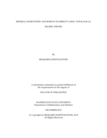 Minimal Homotopies and Robust Feasibility Using Topological Degree Theory