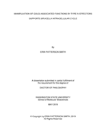 Manipulation of Golgi-associated functions by Type IV effectors supports Brucella intracellular cycle