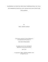 DECIPHERING FACTORS THAT DRIVE ROOT MORPHOGENESIS: CELL WALL-PHYTOHORMONE CROSSTALK AND A KINASE INVOLVED IN ROOT HAIR DEVELOPMENT