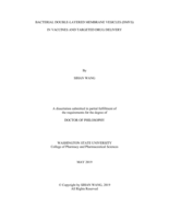BACTERIAL DOUBLE-LAYERED MEMBRANE VESICLES (DMVS) IN VACCINES AND TARGETED DRUG DELIVERY
