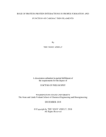 ROLE OF PROTEIN-PROTEIN INTERACTIONS IN PROPER FORMATION AND FUNCTION OF CARDIAC THIN FILAMENTS
