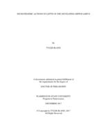NEUROTROPHIC ACTIONS OF LEPTIN IN THE DEVELOPING HIPPOCAMPUS