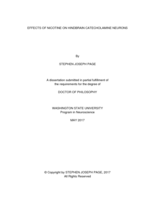 Effects of Nicotine on Hindbrain Catecholamine Neurons