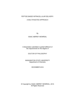 PEPTIDE BASED INTRACELLULAR DELIVERY:  A MULTIFACETED APPROACH