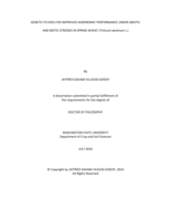 Genetic Studies for Improve Agronomic Performance under Abiotic and Biotic Stresses in Spring Wheat
