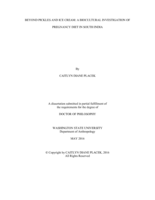 BEYOND PICKLES AND ICE CREAM: A BIOCULTURAL INVESTIGATION OF PREGNANCY DIET IN SOUTH INDIA