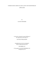 UNDERSTANDING GERM CELL REGULATION USING BIOINFORMATIC APPROACHES