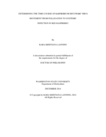 DETERMINING THE TIME COURSE OF RASPBERRY BUSHY DWARF VIRUS MOVEMENT FROM POLLINATION TO SYSTEMIC INFECTION IN RED RASPBERRY