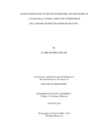 CHARACTERIZATION OF THE TRANSCRIPTOME AND PROTEOME OF  A SALMONELLA ENTERICA SEROVAR TYPHIMURIUM  DNA ADENINE METHYLTRANSFERASE MUTANT