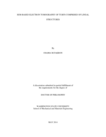 SEM-BASED ELECTRON TOMOGRAPHY OF TURFS COMPRISED OF LINEAL STRUCTURES