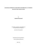 Sex-specific differences in human meiotic recombination: A cytogenetic analysis of early meiotic events