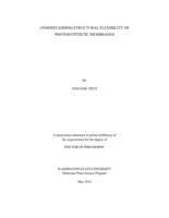 Understanding Structural Flexibility of Photosynthetic Membranes