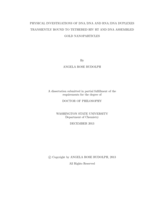 Physical Investigations of DNA/DNA and RNA/DNA Duplexes Transiently Bound to Tethered HIV RT and DNA Assembled Gold Nanoparticles