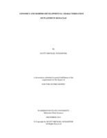 GENOMICS AND MORPHO-DEVELOPMENTAL CHARACTERIZATION OF PLASTIDS IN ROSACEAE