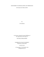 Grape berry water relations and their roles in sugar accumulation