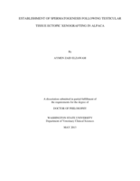 ESTABLISHMENT OF SPERMATOGENESIS FOLLOWING TESTICULAR TISSUE ECTOPIC XENOGRAFTING IN ALPACA