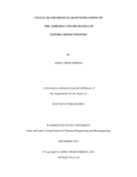 Cellular and molecular investigations of the adhesion and mechanics of Listeria monocytogenes