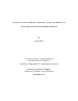 DEGRADATION OF WHEAT STRAW CELL WALL BY WHITE ROT FUNGI PHANEROCHAETE CHRYSOSPORIUM