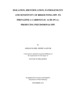 ISOLATION, IDENTIFICATION, PATHOGENICITY AND SENSITIVITY OF RHIZOCTONIA SPP. TO PHENAZINE-1-CARBOXYLIC ACID (PCA)-PRODUCING PSEUDOMONAS SPP.