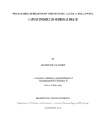 Neural proliferation in the sensory ganglia following capsaicin-induced neuronal death