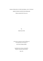 CHARACTERIZATION OF MITOCHONDRIAL AND CYTOSOLIC SERINE HYDROXYMETHYLTRANSFERASES