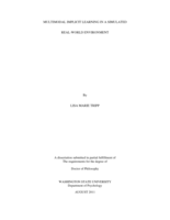 Multimodal Implicit Learning in a Simulated Real-World Environment