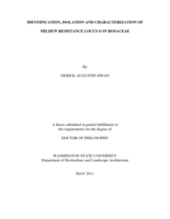 Identification, isolation and characterization of mildew resistance locus O in rosaceae