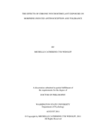 The Effects of Chronic Psychostimulant Exposure on Morphine-Induced Antinociception and Tolerance