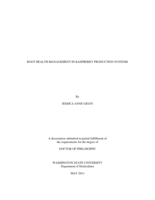 Root Health Management in Raspberry Production Systems
