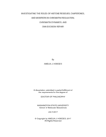 INVESTIGATING THE ROLES OF HISTONE RESIDUES, CHAPERONES,  AND MODIFIERS IN CHROMATIN REGULATION,  CHROMATIN DYNAMICS, AND  DNA EXCISION REPAIR