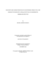 DISCOVERY AND CHARACTERIZATION OF AN INTERGENIC SRNA IN THE LYME DISEASE PATHOGEN WITH A REGULATORY ROLE IN DISSEMINATED MAMMALIAN INFECTION