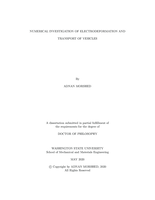 NUMERICAL INVESTIGATION OF ELECTRODEFORMATION AND TRANSPORT OF VESICLES