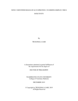 Newly Identified Roles of Glycoprotein C in Herpes Simplex Virus Infectivity