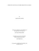 Formation and Bypass of APOBEC-mediated DNA lesions