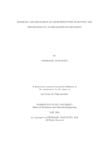 Modeling and Simulation of Microstructure Evolution and Deformation in an Irradiated Environment