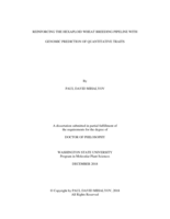 Reinforcing the hexaploid wheat breeding pipeline with genomic prediction of quantitative traits